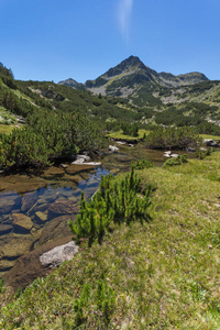 令人惊叹的景观与 Valyavitsa 河和 Valyavishki 鸡峰，皮林山