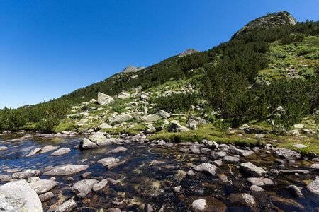 令人惊叹的景观与 Valyavitsa 河和 Valyavishki 鸡峰，皮林山