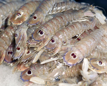 在鱼市场出售的新鲜螳螂虾。
