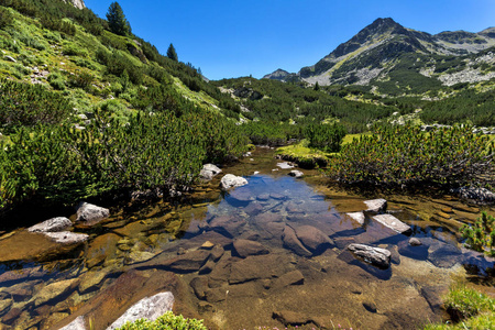 令人惊叹的景观与 Valyavitsa 河和 Valyavishki 鸡峰，皮林山