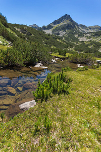 令人惊叹的景观与 Valyavitsa 河和 Valyavishki 鸡峰，皮林山