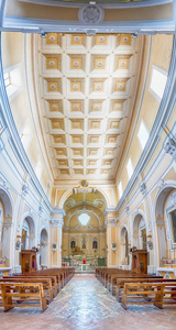 全景视图里面圣弗朗西斯科教堂，塞维利亚，我