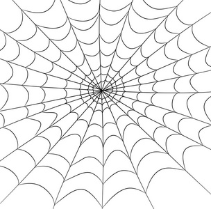 蜘蛛 web 矢量符号图标设计。美丽的插图 iso
