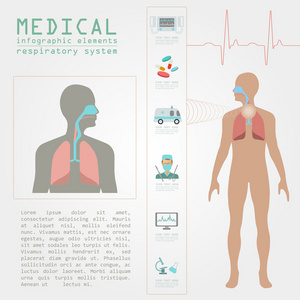 医疗和卫生保健的信息图表，呼吸道系统 infograph