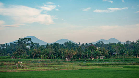 巴厘岛的风景