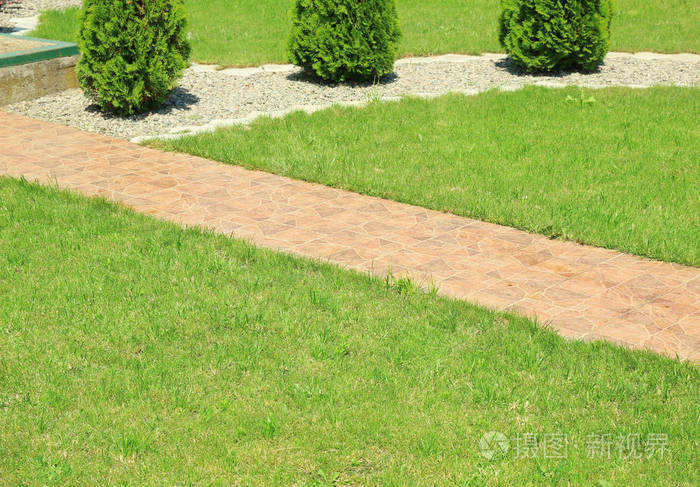 美丽的绿色草坪在花园里