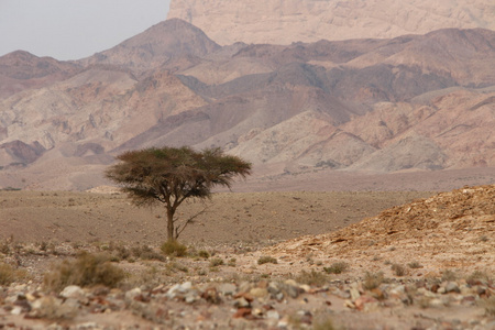 亚洲中部东 Jordan