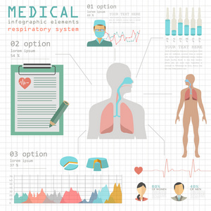 医疗和卫生保健的信息图表，呼吸道系统 infograph