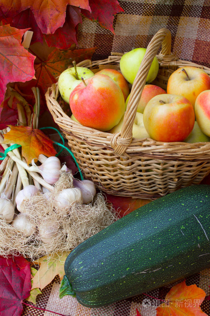 秋天丰收的蔬菜