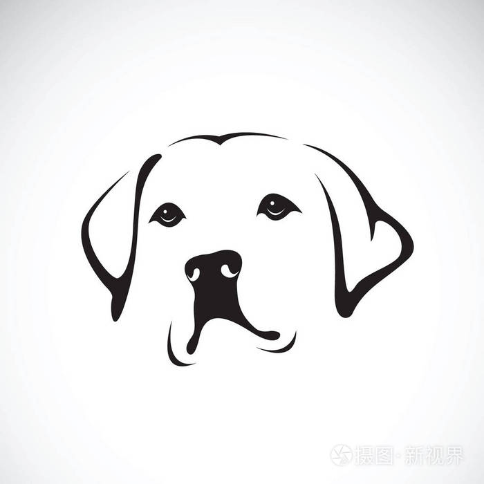 向量的白色背景pe狗头拉布拉多犬