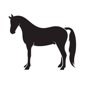 向量的白色背景上分离出的一匹马。动物