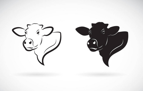 牛头设计在白色背景上的向量。农场动物