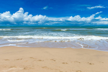 海滩和热带海