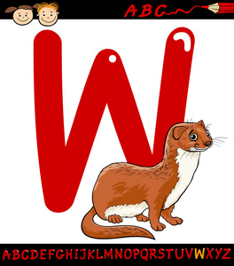 字母 w 的黄鼠狼卡通插图