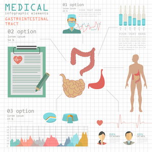 医疗和卫生保健的信息图表，胃肠道 infog