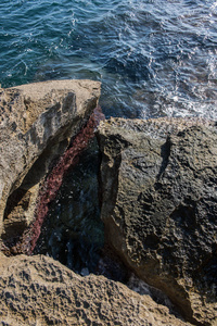 T 在地中海马略卡岛上岩石海岸景观