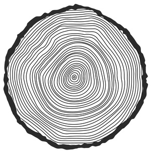 树木年轮与矢量概念背景照片