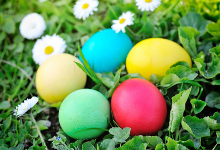 彩色的复活节蛋在绿色草地上