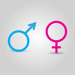 矢量图标的灰色的背景上孤立的男性和女性符号。男人和女人的标志