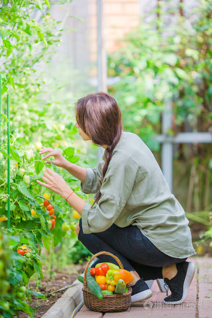 提着篮子的绿色植物和蔬菜大棚的年轻女人.收获的时间