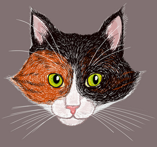 猫肖像在红色眼镜和一张弓