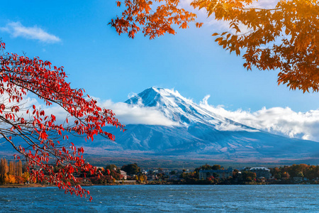 颜色山秋天的颜色,日本的富士山照片