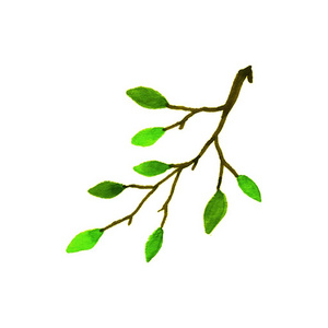 一种植物的分支图片