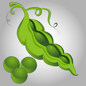 卡通豆豌豆荚卡通照片