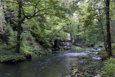 野生秋溪 Kamenice 在与砂岩巨石，捷克共和国捷克瑞士周围的景观