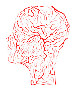 静脉人类头部的矢量符号图标设计。美丽的说明