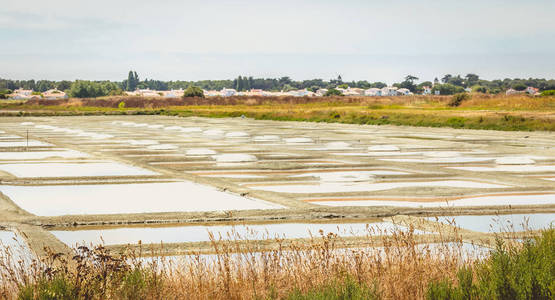 Noirmoutier 盐收获期的传统盐沼