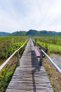 这座木桥和风景