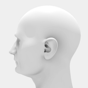 侧视图等距女性头部解剖女性头部肌肉解剖学-前视图一个孩子的耳朵