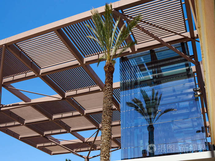 现代设计的凉棚乔木作木材和金属