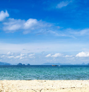 海滩和热带海