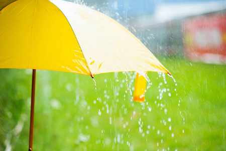 黄色雨伞从把黄色的雨伞雨滴落照片