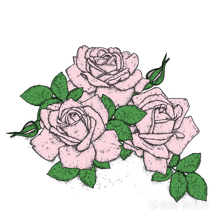 美丽的玫瑰与叶和芽。矢量图的一张明信片或海报，打印的衣服。复古花