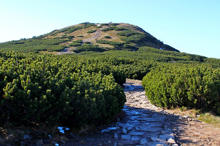 Babia 戈拉，Beskidy，波兰为视角