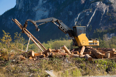 工业林业网站机械调配风景图片