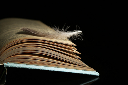 躺在翻开的书页上的羽毛图片