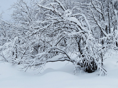 雪和山