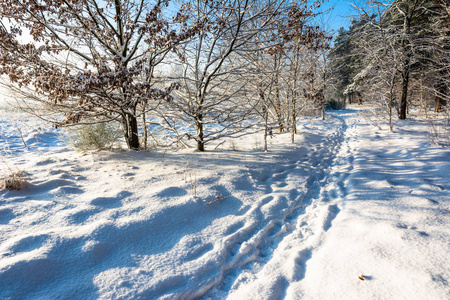 雪中的小路, 冬日的风景