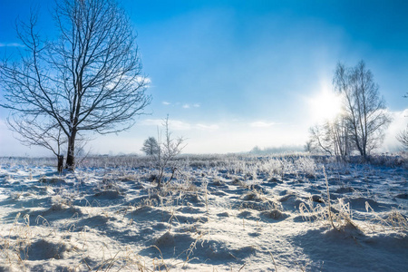 场中雪和天空的太阳在早晨霜冬季景观