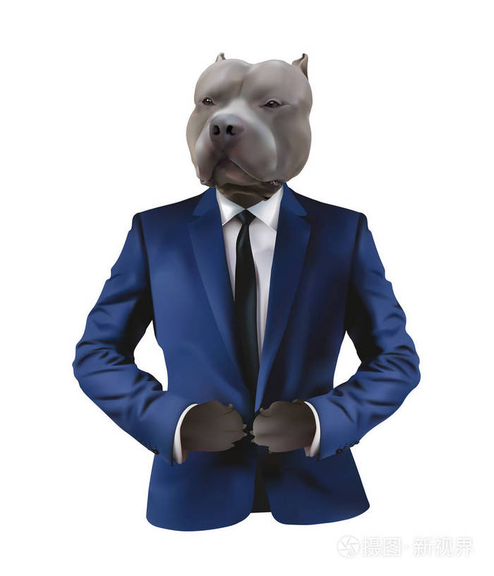 斗犬在男人适合白色背景上