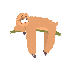 可爱的快乐卡通懒家伙人物躺在树上,滑稽的热带动物矢量图照片