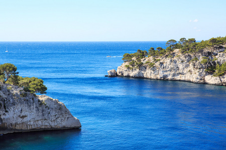 calanques 的黑醋栗，普罗旺斯，法国的端口引脚