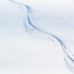 自由式滑雪 雪跟踪上粉雪
