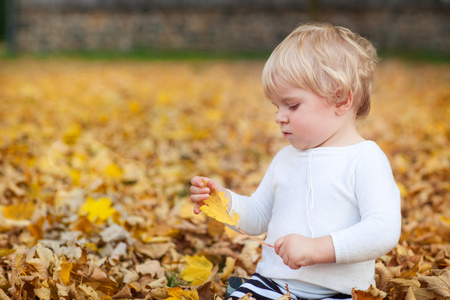 蹒跚学步的小男孩，在秋天公园玩