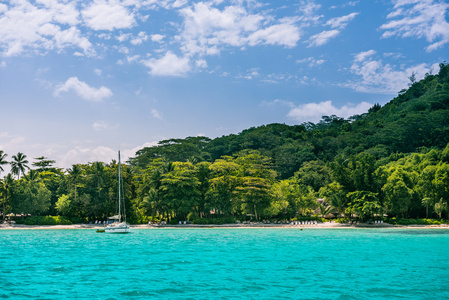 马埃岛的热带海滩