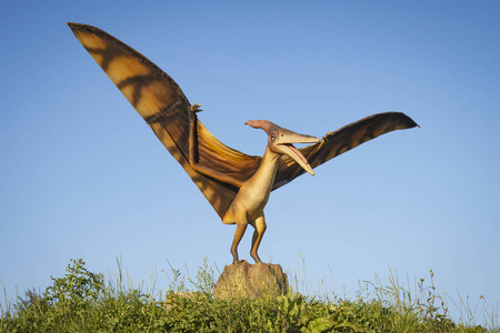 白俄罗斯-2017 年 9 月 17 日: 逼真的模型的翼龙 dinosaurus 在恐龙